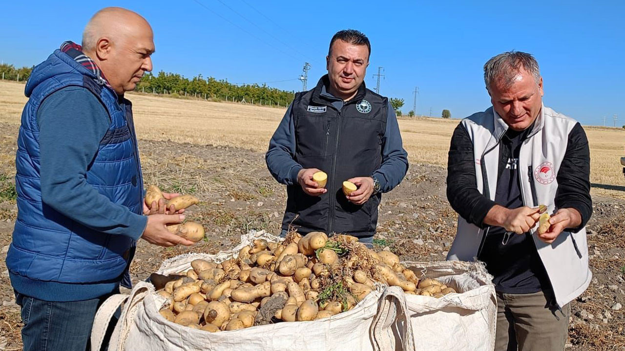 Beyşehir’de çiftçinin yüzü güldü!