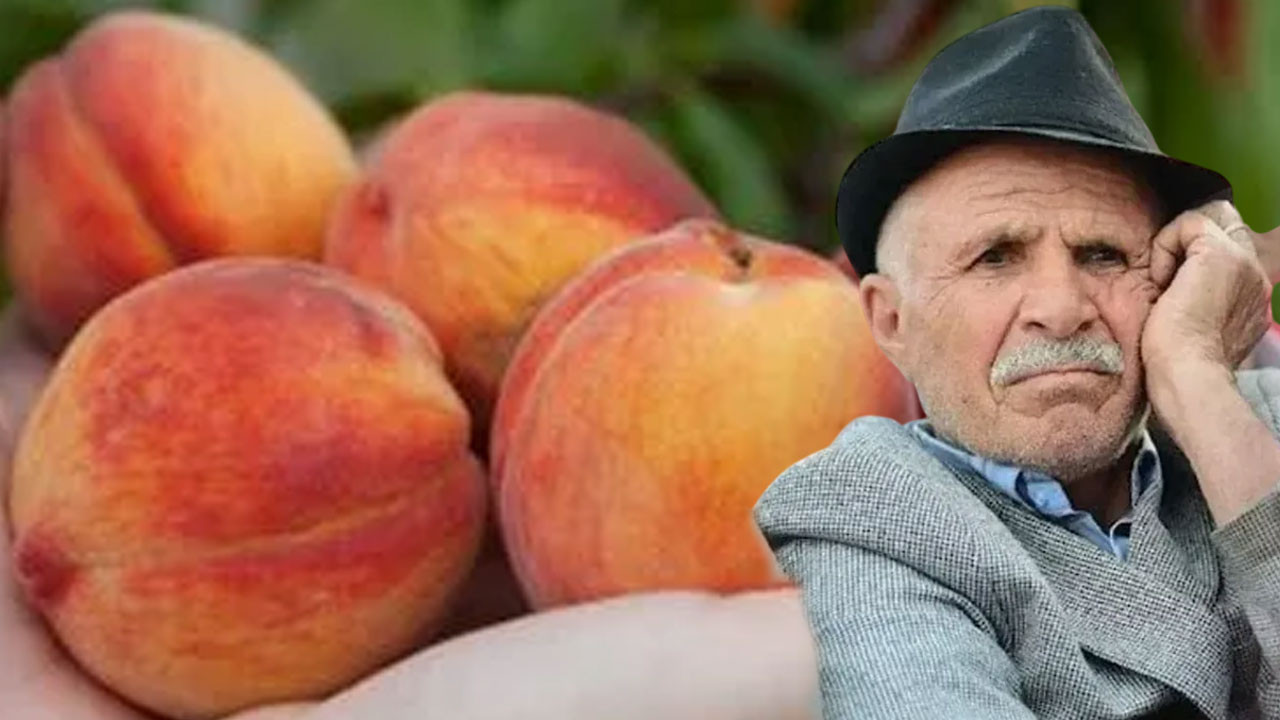 Emekli bunu nasıl yesin? Tanesi 57 lira