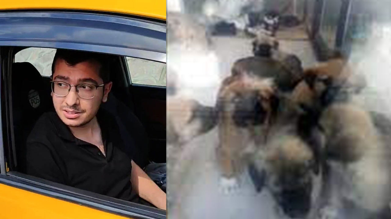 Köpek tecavüzcüsü doktora 9 yıl 9 ay hapis!