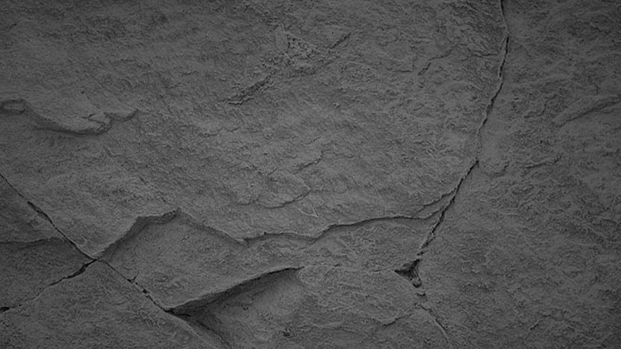 BASIN FACİASI! Birileri ünlüleri ifşa etmek istedi medya buna alet oldu