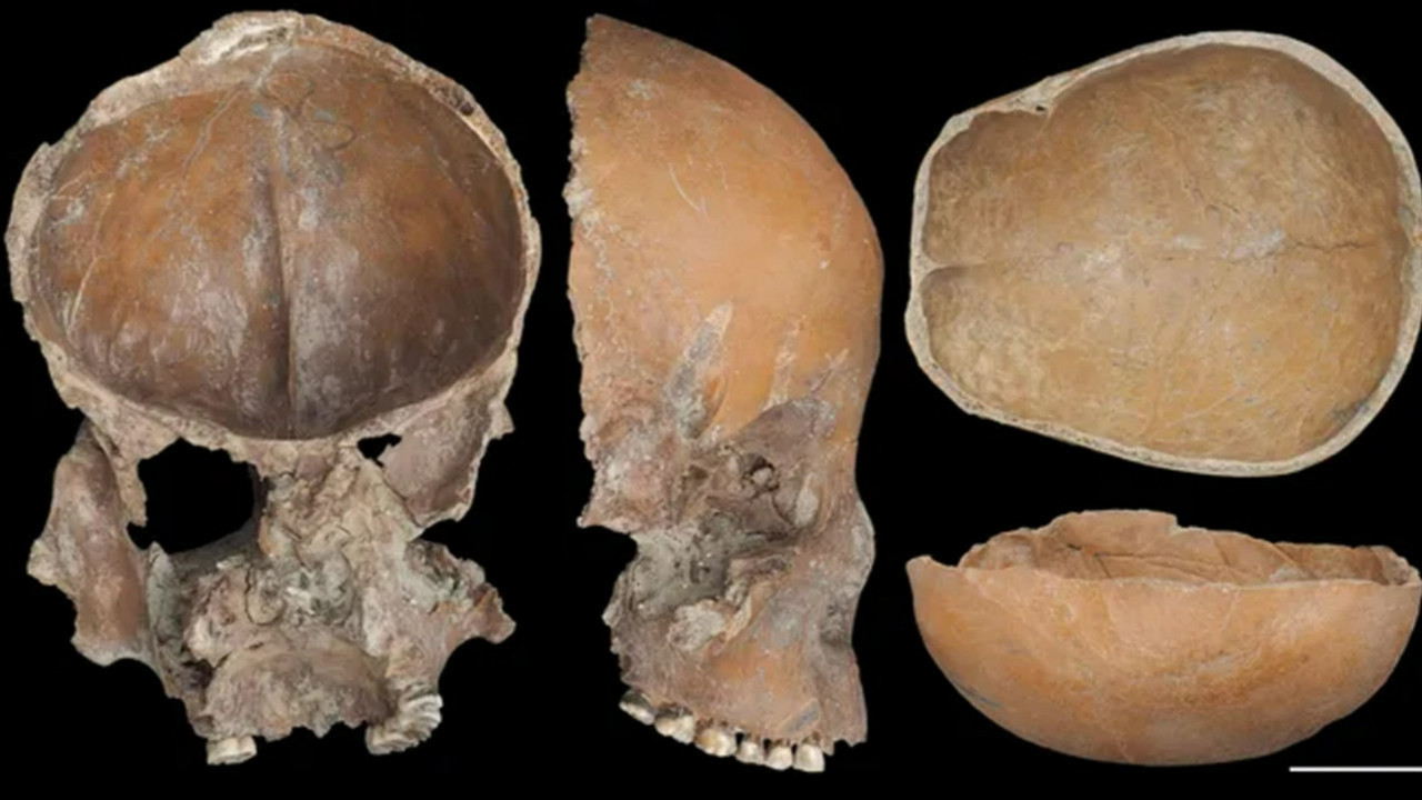 5.000 yıllık korkunç gizem: 50’den fazla insan kemiğinde rastlandı!