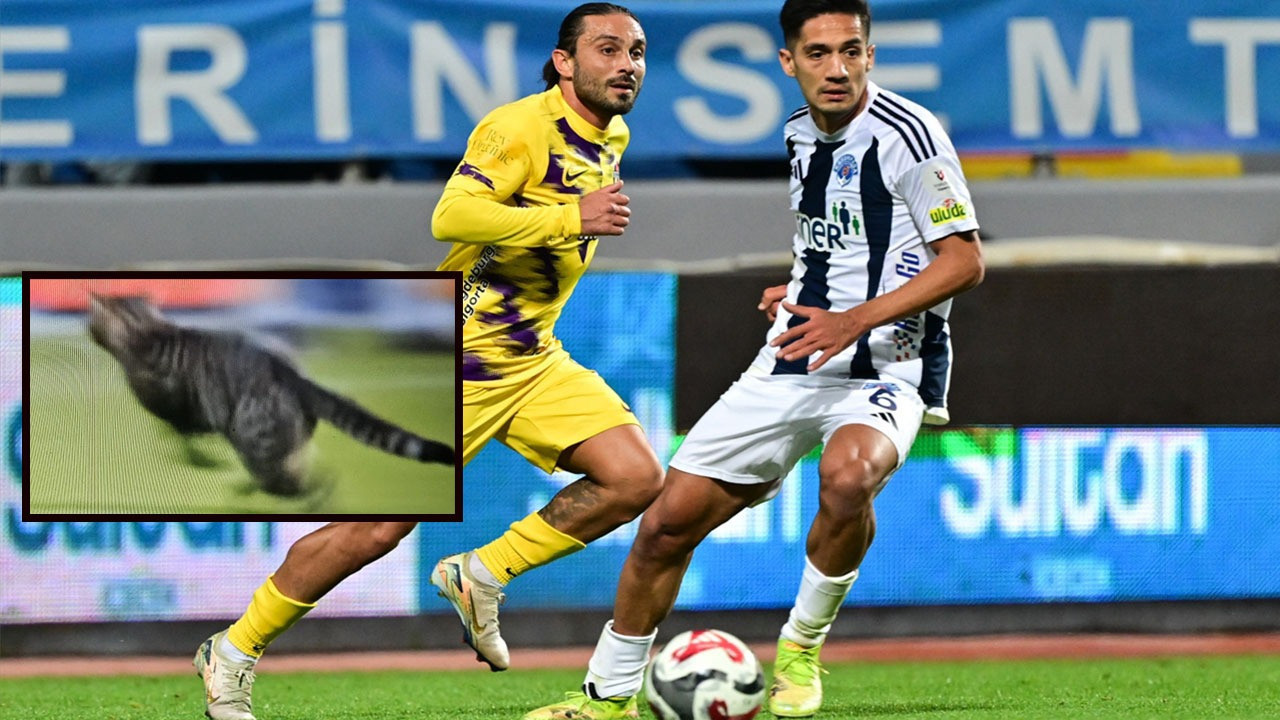 Böyle olur İstanbul derbisi! Kedili maçın galibi Eyüp