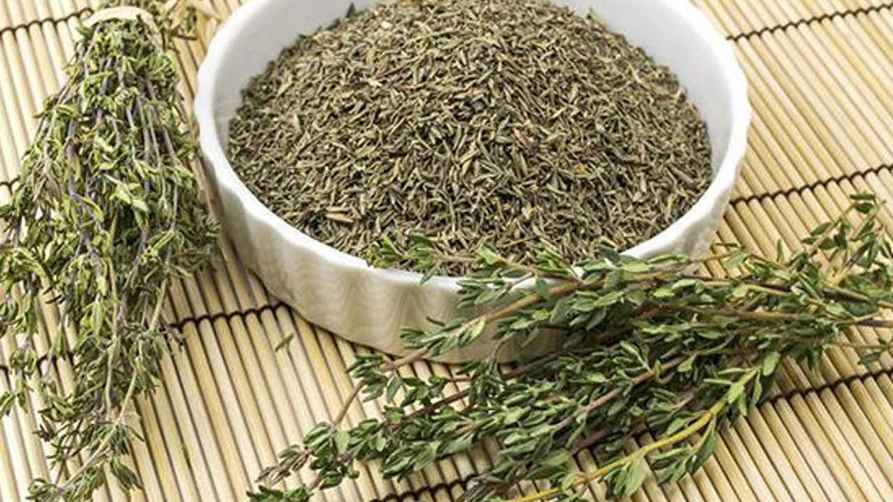 Kekikle lezzet yolculuğu! Hangi yemeklerde kullanmalı, nasıl tüketmeliyiz?