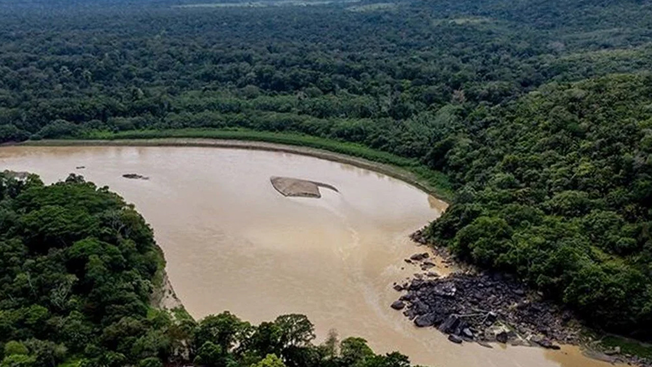 Gezegenin akciğerlerinde alarm çanları! Küresel orman kaybında tarihi zirve görüldü