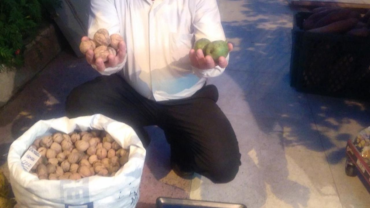 Ceviz mucizesi! Hafızayı güçlendiren süper besin