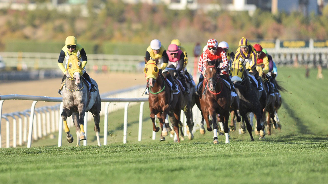 Cumhuriyet ve Cumhurbaşkanlığı koşuları yapıldı