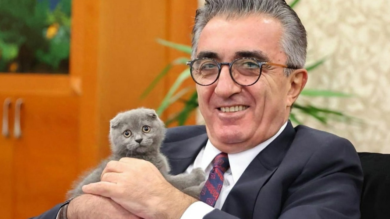 Bayrampaşa'da kedi polemiği!