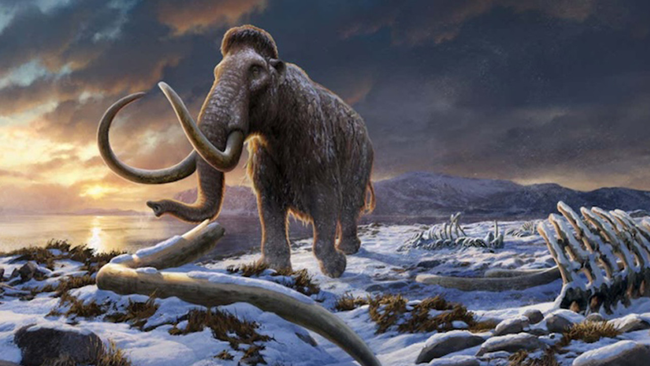 40 bin yıllık gizem açığa çıktı! Biyolojinin sınırları zorlandı