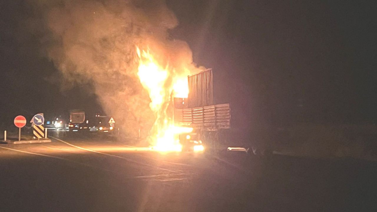 Seyir halindeki tır alev topuna döndü