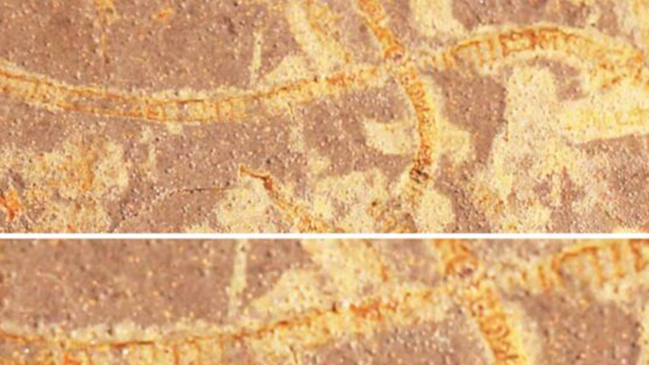 3 milyar yıllık yaşamın izleri bulundu