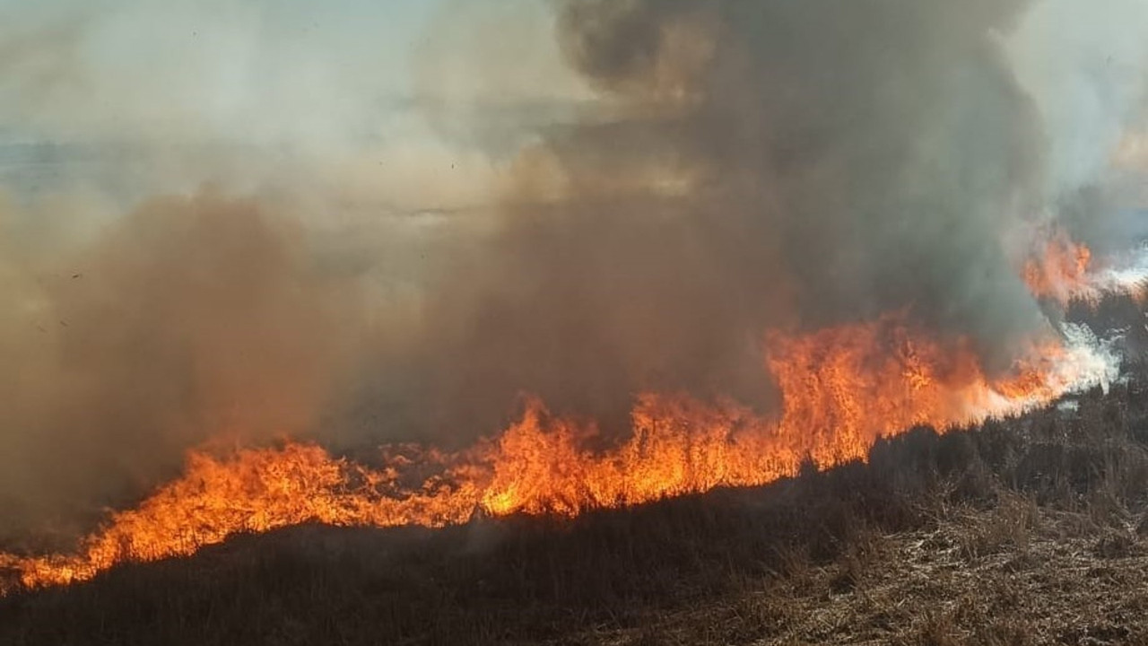Beyşehir'de iki ayrı nokta, aynı gün: Tesadüf mü, kundak mı?