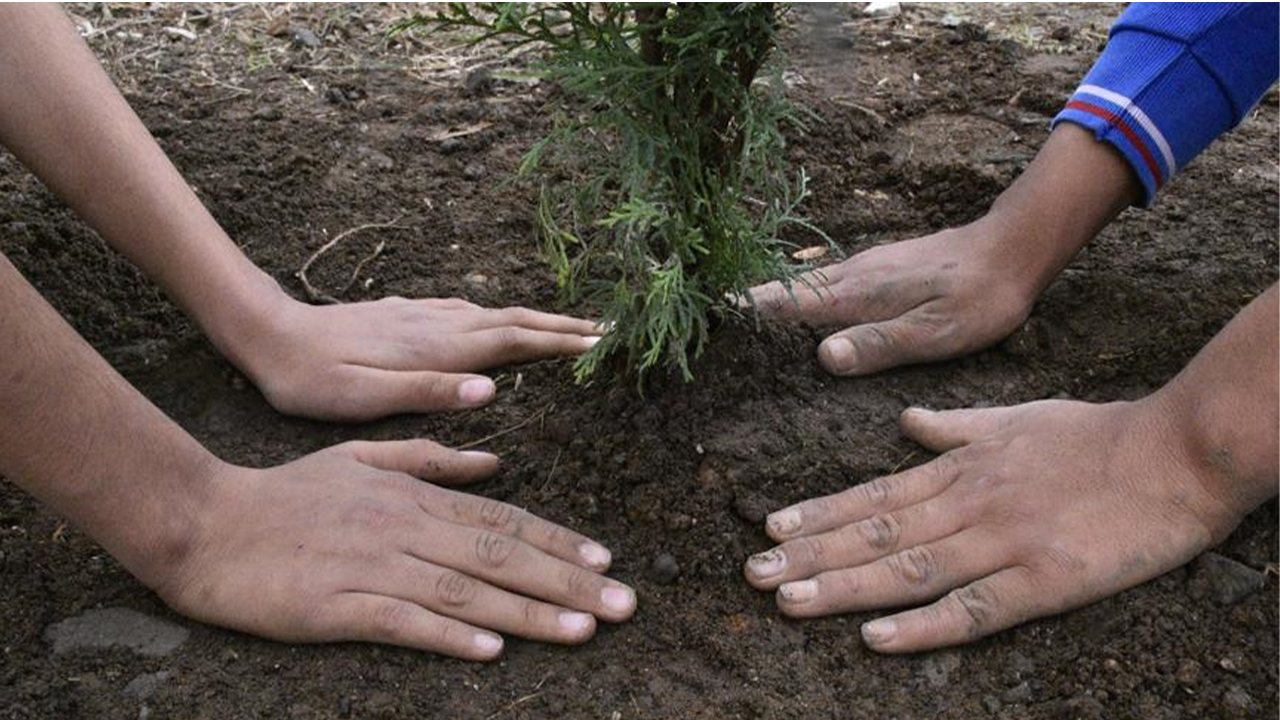 Karaman’da Öğretmenler Günü anısına oluşturulan hatıra ormanında fidanlar toprakla buluşturuldu