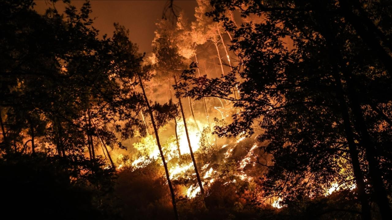 Suriye'nin Lazkiye bölgesindeki başlayan orman yangınları tamamen söndürüldü
