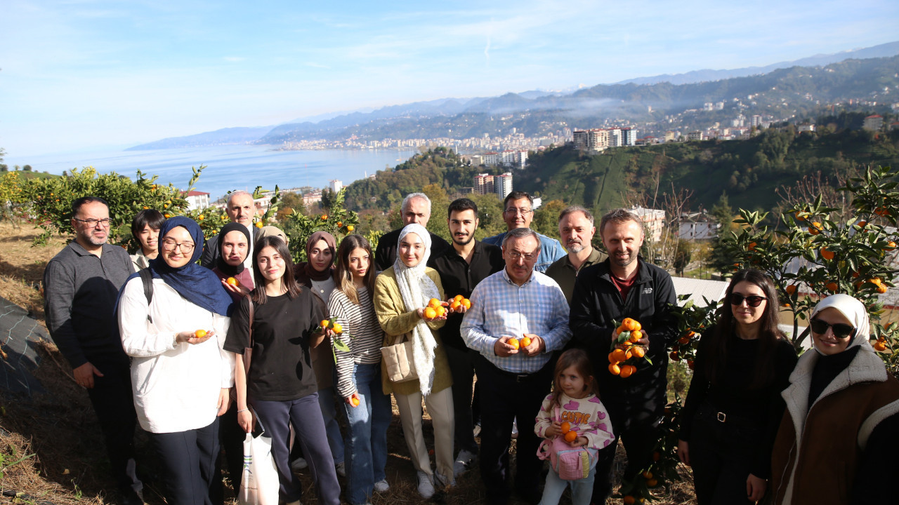 "Haydi Hep Birlikte Mandalina Hasadına" etkinliği düzenlendi