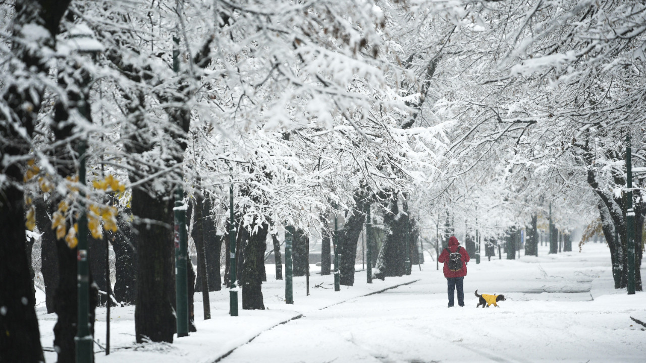 Saraybosna beyaza büründü