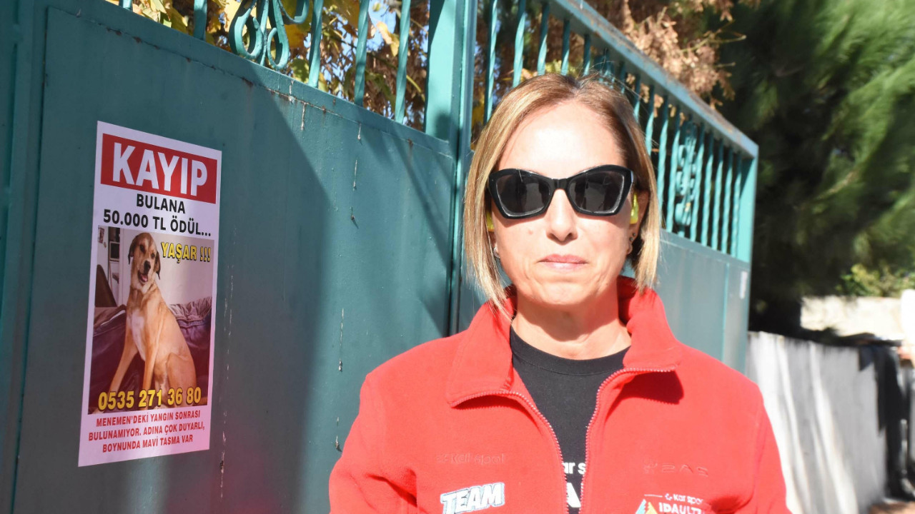 Kayıp köpeğini bulana 50 bin lira verecek