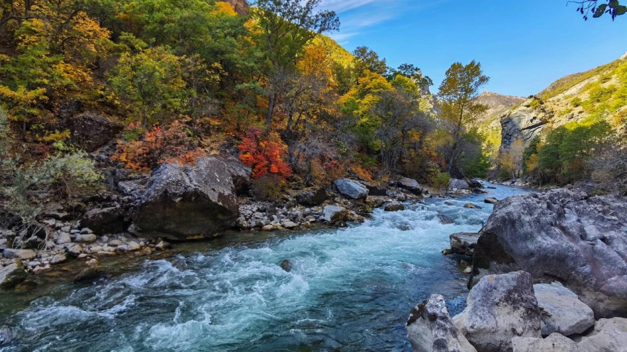 Mahkemeden Munzur'a koruma kararı: Baraj ve HES projelerine ret