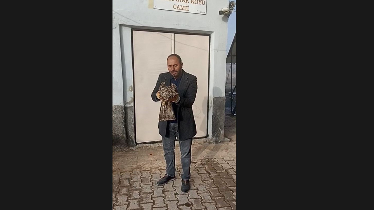 Yaralı kartalı besleyip kurtardılar: Köy imamı ve vatandaş el ele!