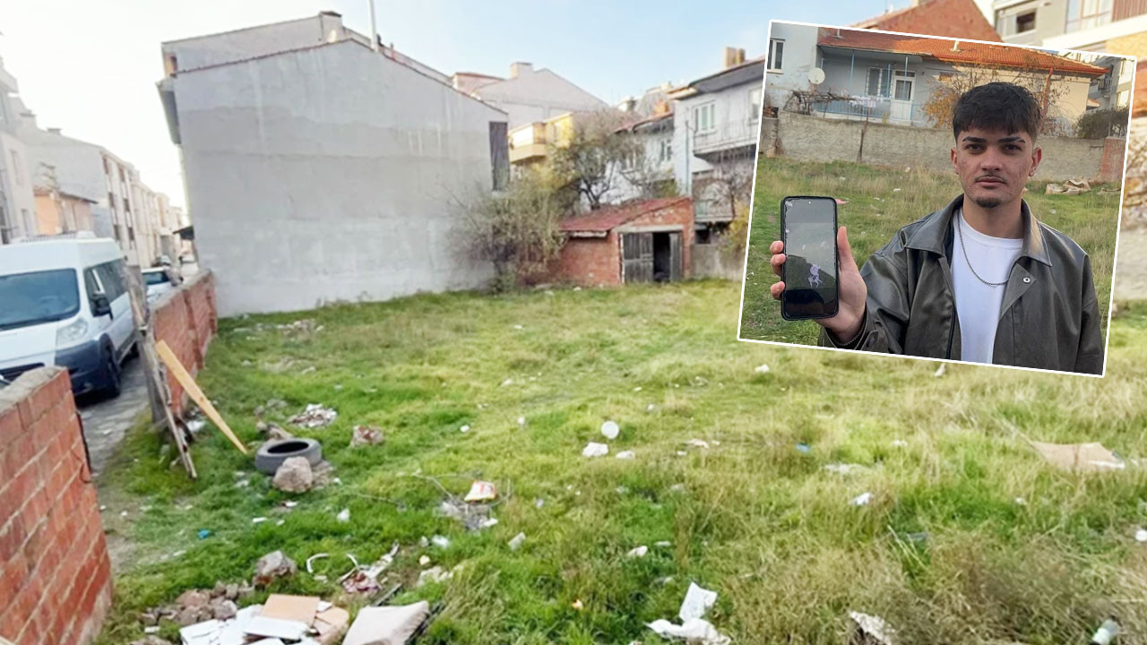 Hayvan katliamı! Hepsinin gözleri oyulmuş, karınları deşilmiş, boyunlar kırılmış