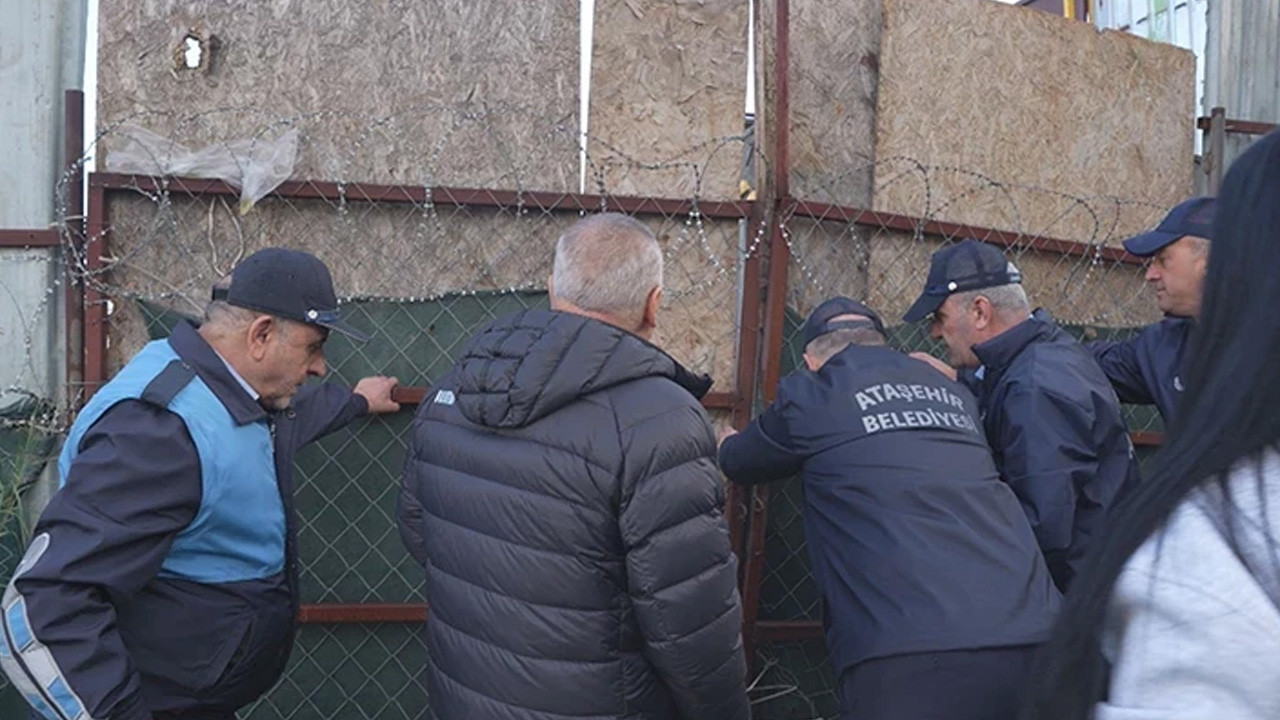 İstanbul'da at kesimine gözaltı