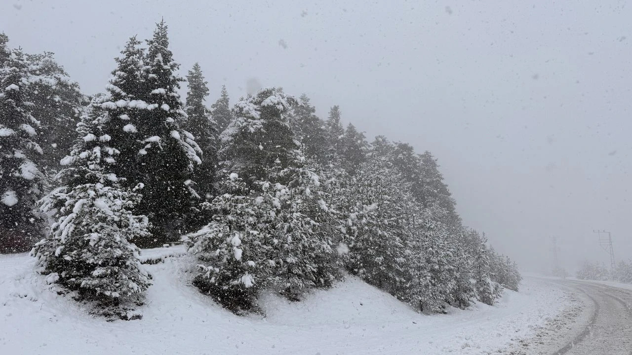 Samsun'un Kızlan Yaylası'nda kar yağışı etkili oldu