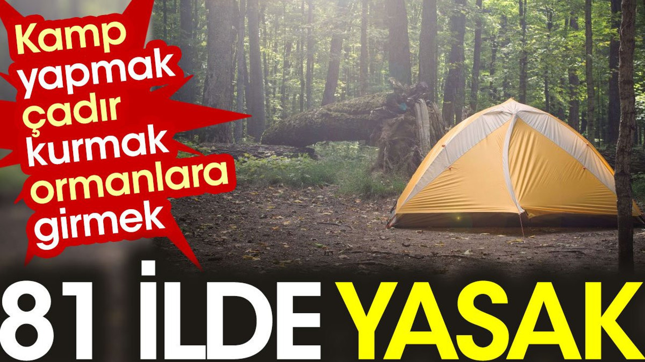 Ormana girmek ve kamp kurmak 81 ilde yasaklandı