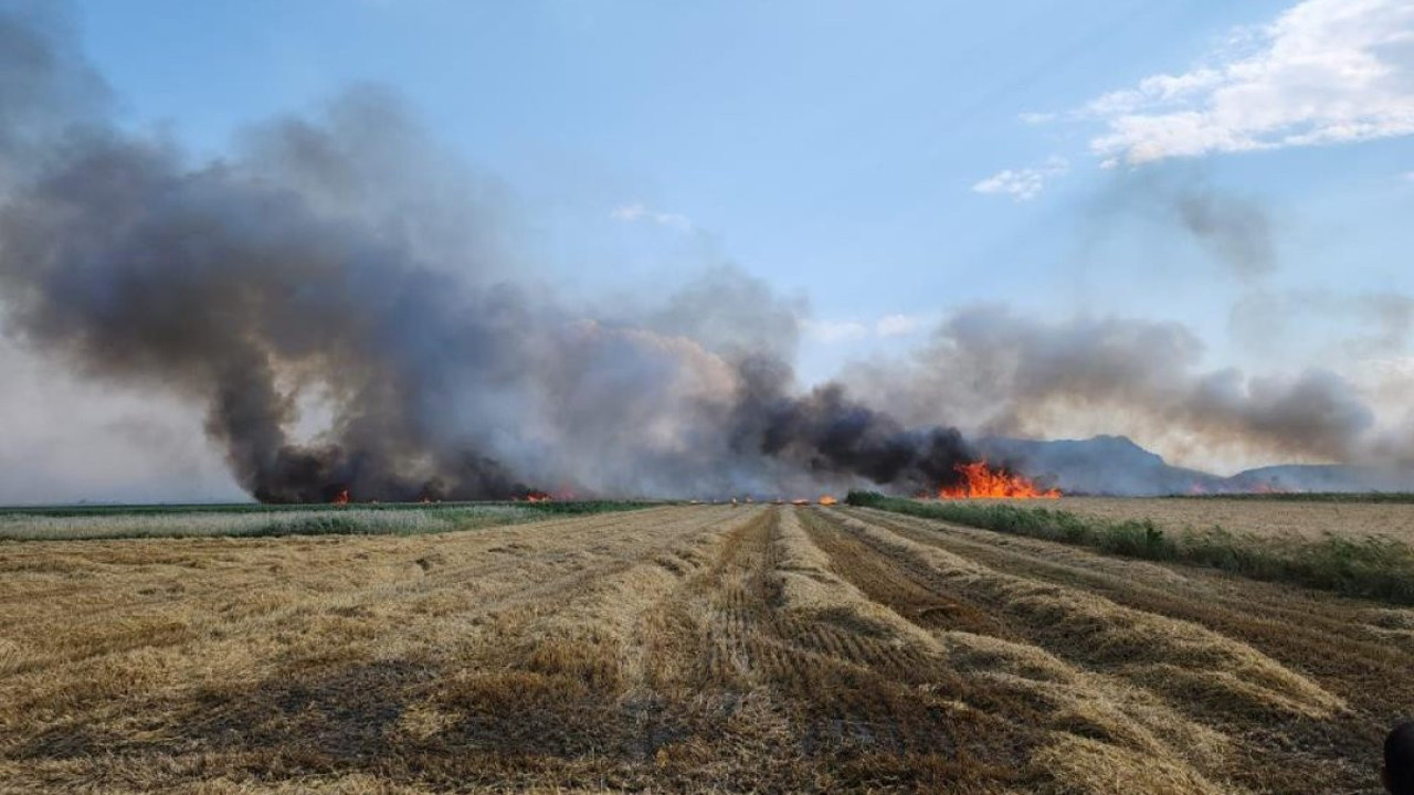 Burdur’da elektrik tellerinden çıkan yangında 800 dekar ekili alan kül oldu