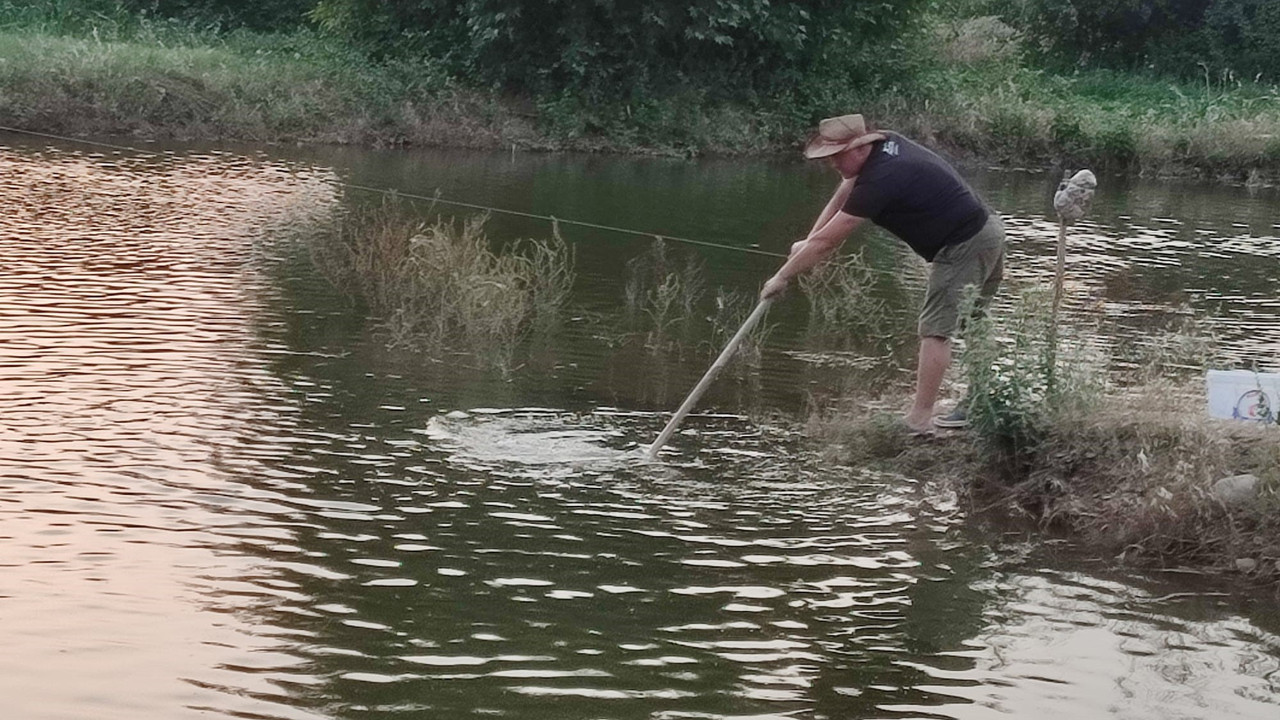 Tarlasında yetiştiriyor. Kepçe kepçe topluyor