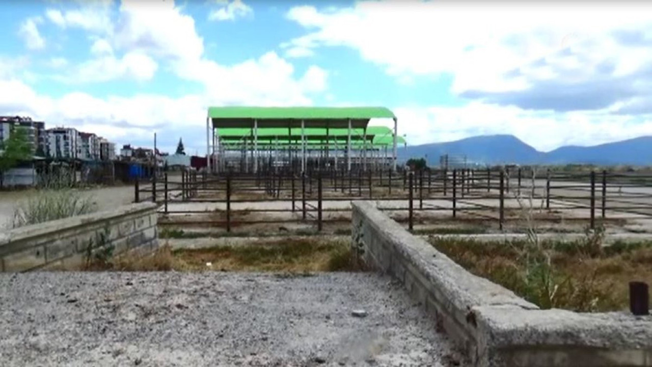 Hayvan pazarı şap hastalığı nedeniyle kapatıldı