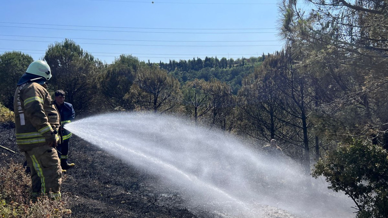 Sultangazi'de ormanlık alanda yangın çıktı