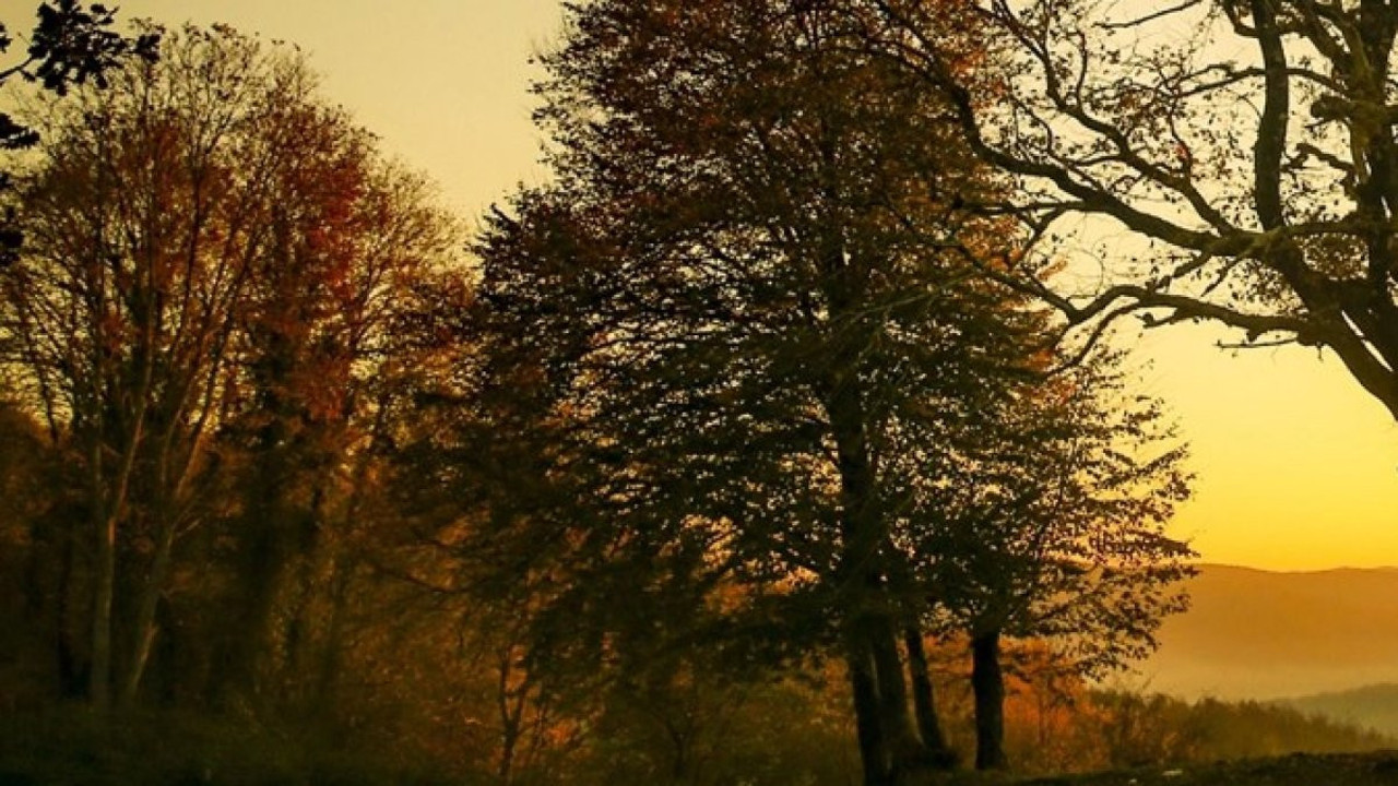 O kentte ormanlara giriş valilikçe yasaklandı