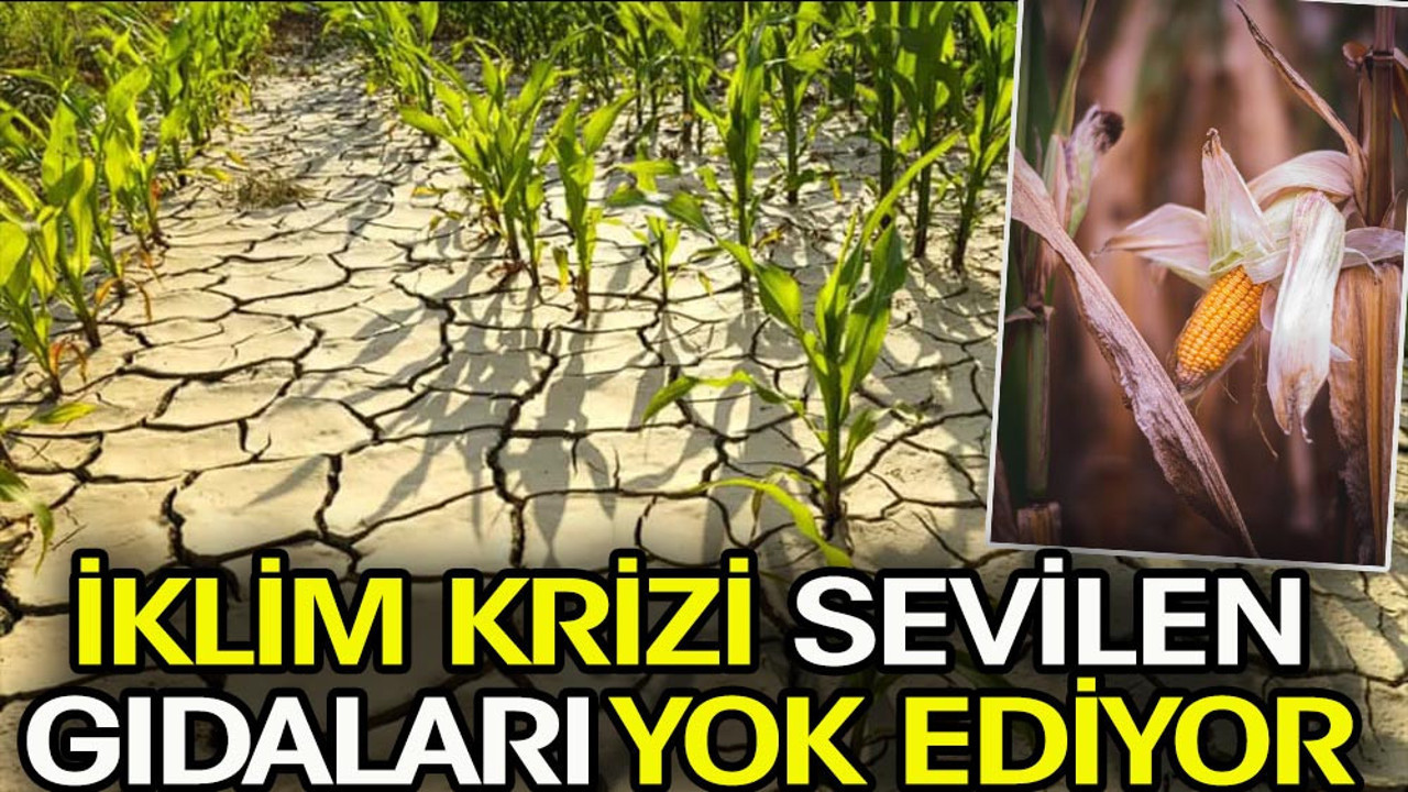 İklim krizi sevilen gıdaların sofradan eksilmesine neden olabilir