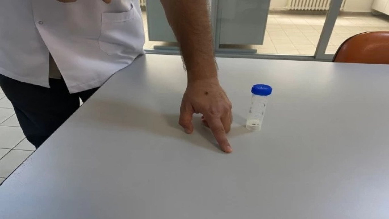 Kene vakalarında 'aşırı yağış' etkisine dikkat. Uzmanı uyardı