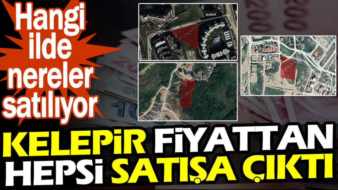 Kelepir fiyattan hepsi satışa çıktı. Hangi ilde nereler satılıyor