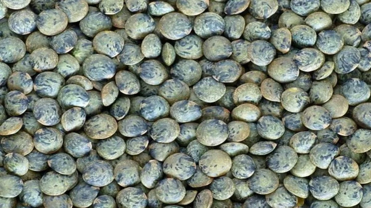 Türk mutfağının baş tacının mucize faydaları. Kabızlığa iyi geliyor. Kan şekerini dengeliyor