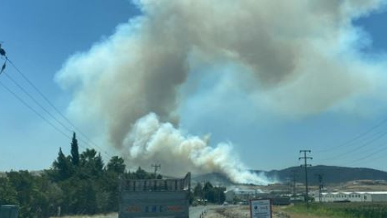 Kahramanmaraş'ta orman yangını (15 Temmuz 2023)