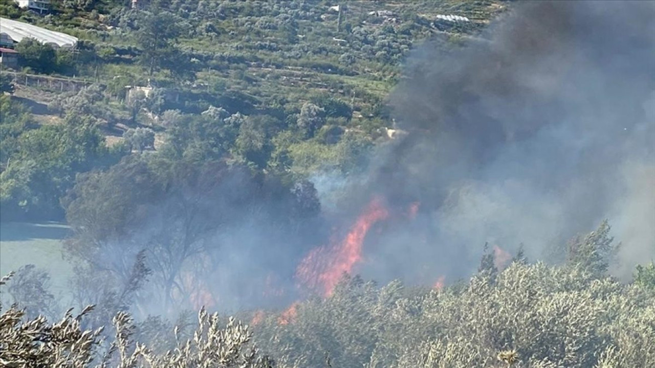 Mersin'de çıkan orman yangını kontrol altına alındı (16 Temmuz 2023)