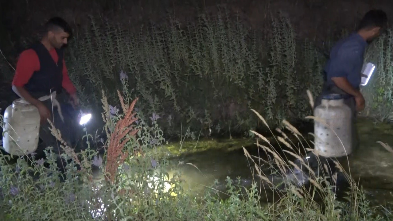 Gecede 30 kilo yakalıyorlar kilosunu 100 TL'den satıyorlar. Fenerle avlanıyorlar