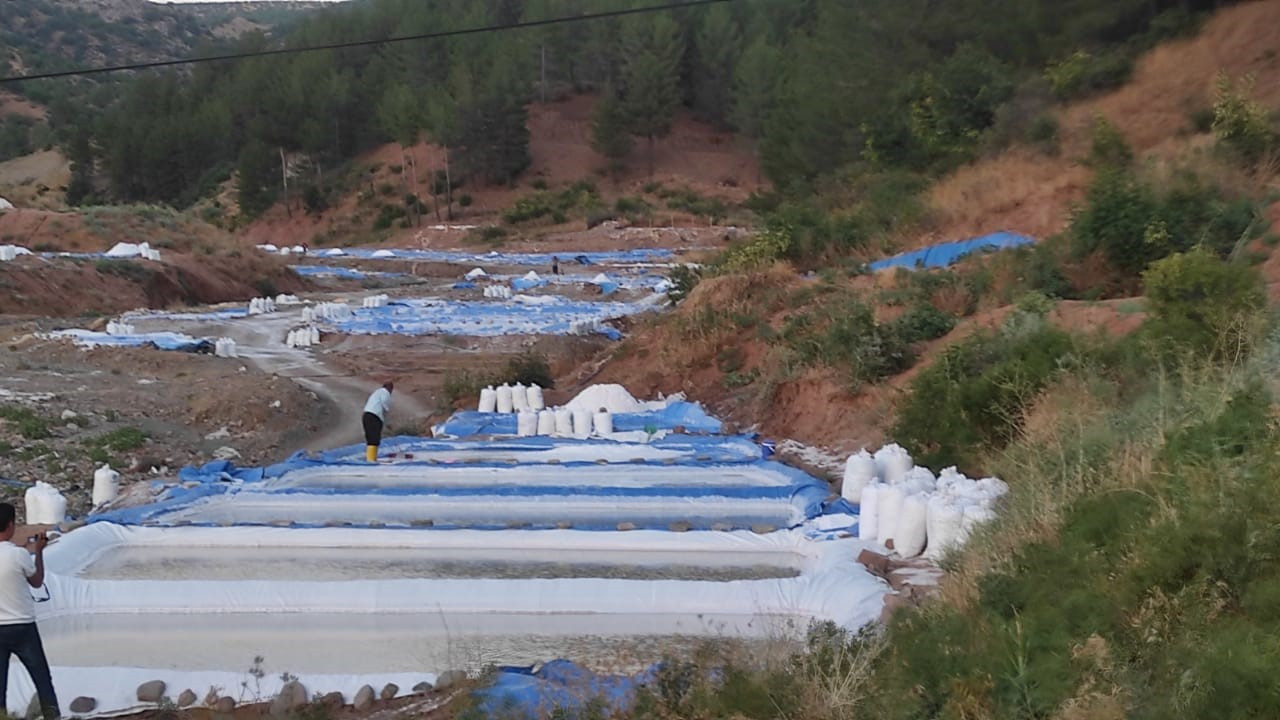 Dağdan akıyor aileler 90 günde 150 bin TL kazanıyor. Dedelerinden miras kaldı