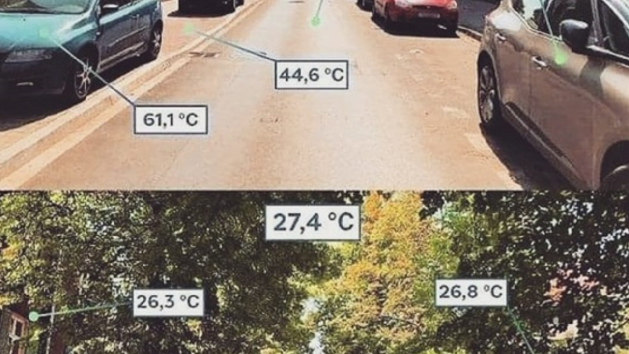 Ağaç düşmanı vatan hainleri bakın ağaçlar ne işe yarıyor