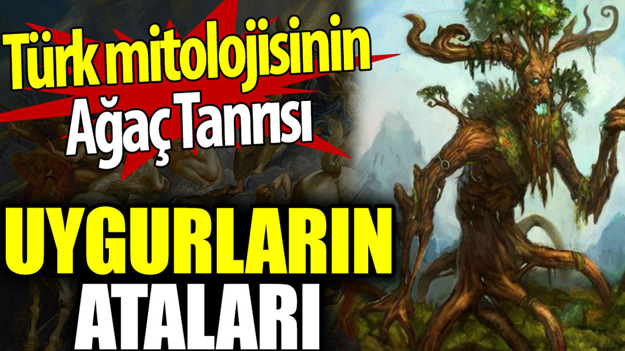 Türk mitolojinde Ağaç Ata ne anlama geliyor? Uygurların ataları