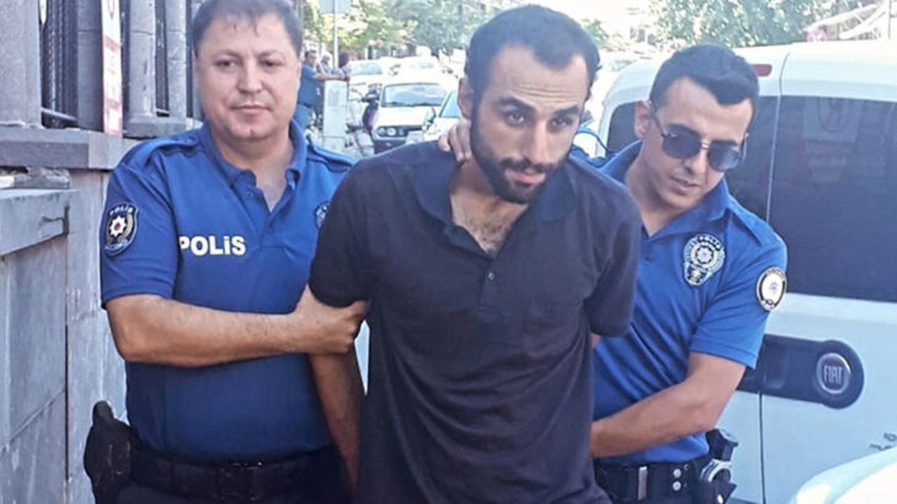 Annesi ve kardeşini dövüp, evdeki 4 kediyi öldürdü