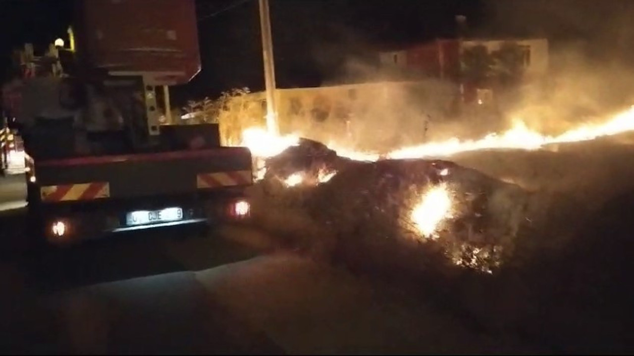 Tutuşan otlar ormanı yaktı