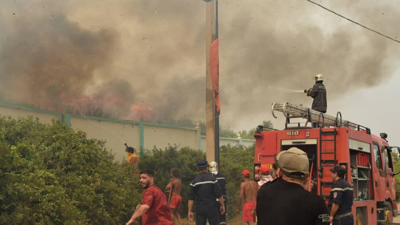 Cezayir'de orman yangınları 15 kişinin ölümüne sebep oldu