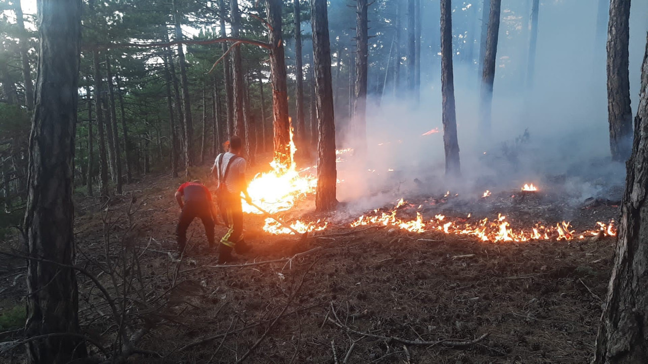 Denizli'de örtü yangını