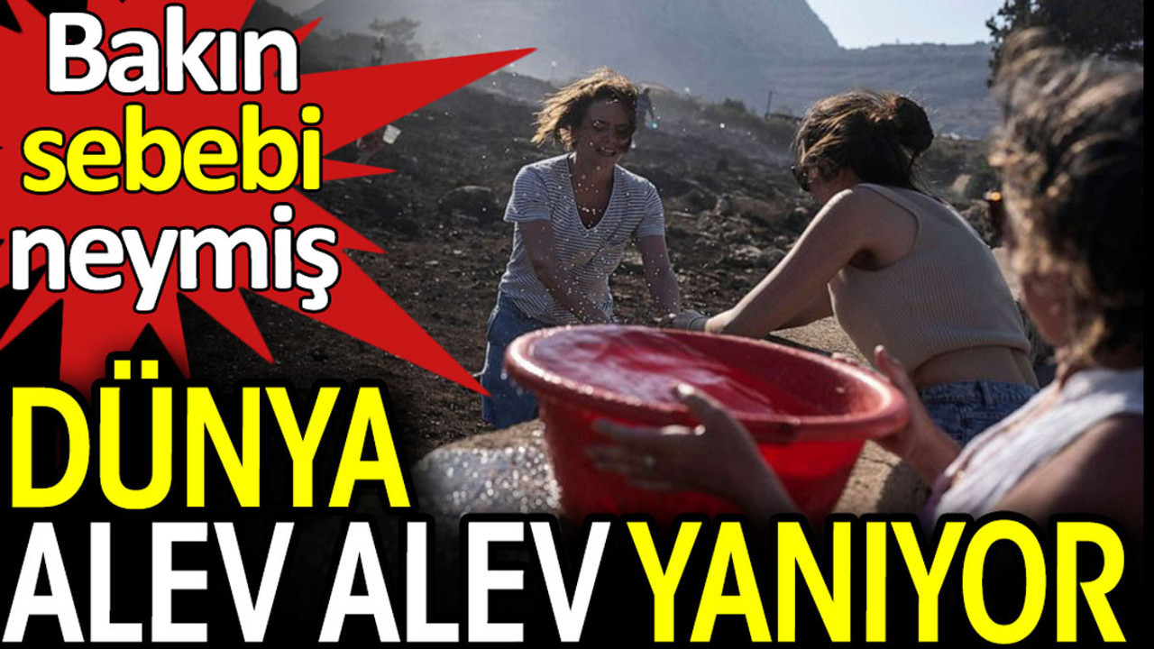 Dünya alev alev yanıyor. Bakın sebebi neymiş