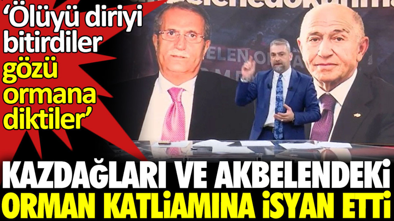 Kazdağları ve Akbelen’deki orman katliamına isyan etti: ‘Ölüyü diriyi bitirdi gözü ormana diktiler’
