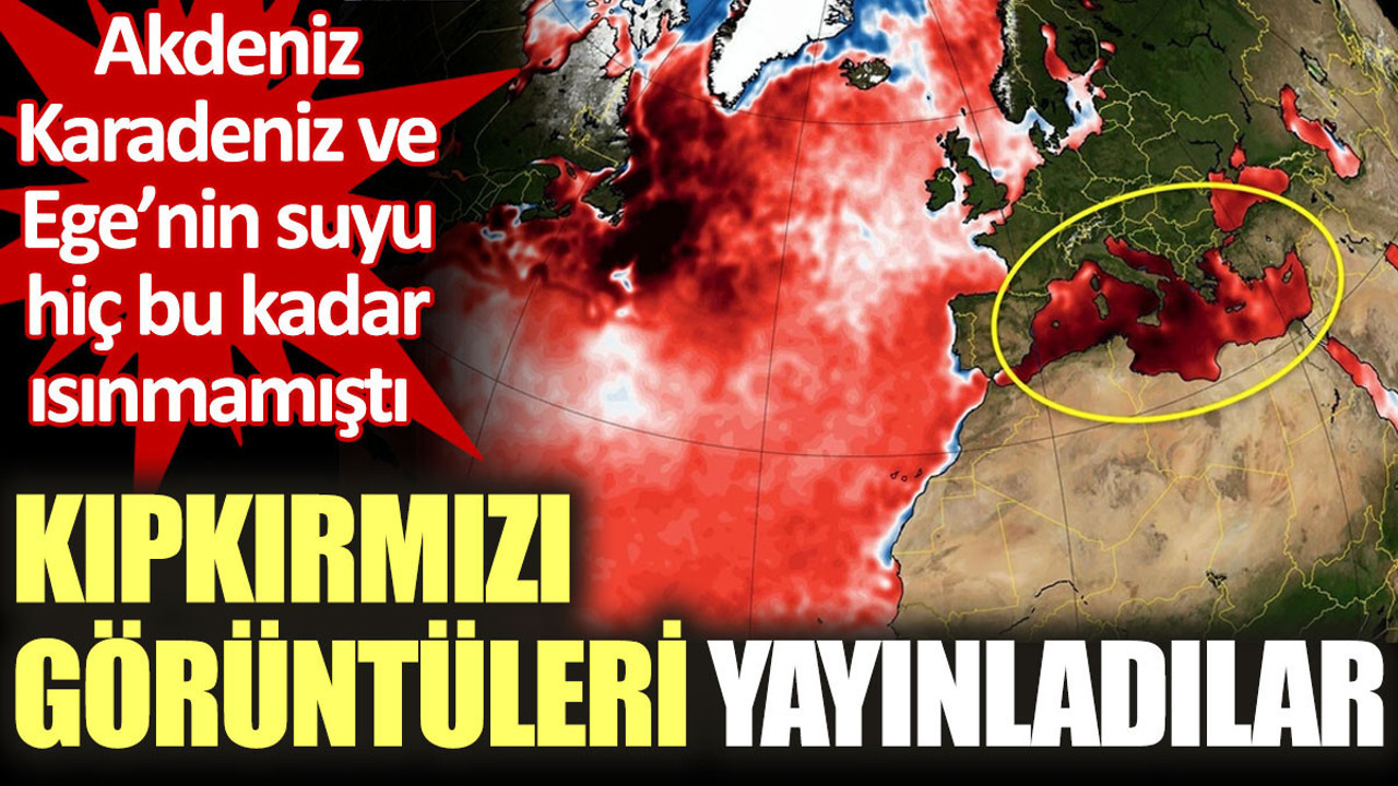 Akdeniz, Karadeniz ve Ege'nin suyu hiç bu kadar ısınmamıştı. Kıpkırmızı görüntüleri yayınladılar