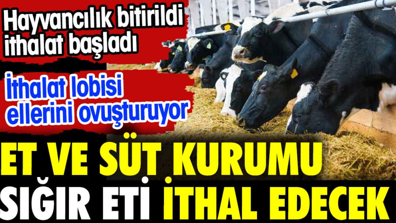 Et ve Süt Kurumu sığır eti ithal edecek. Hayvancılık bitirildi ithalat başladı