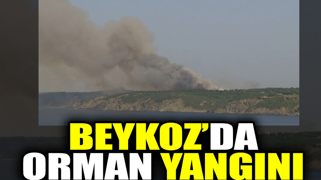 Beykoz'da orman yangını (26 Temmuz 2023)